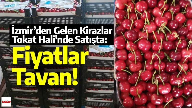Tokat Kirazı Yok! Bu Yıl İzmir Kirazı Yiyeceğiz! Şok Neden?
