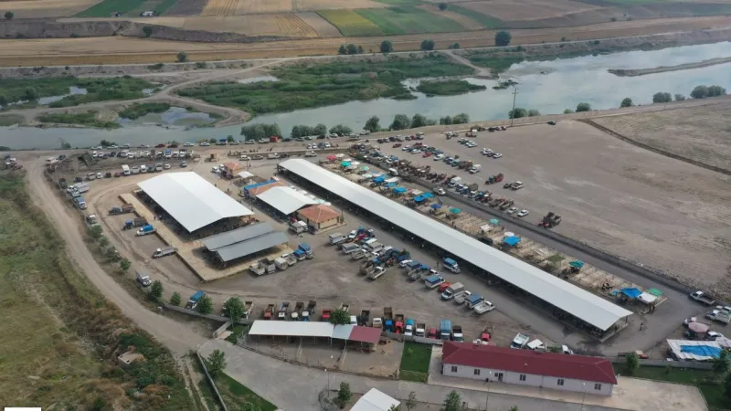 Erbaa Hayvan Pazarı Neden Kapandı? Şok Karar!