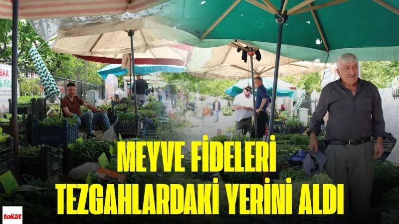 Erbaa'da Organik Fide Şenliği! Ama Fiyatlar Cep Yakıyor!