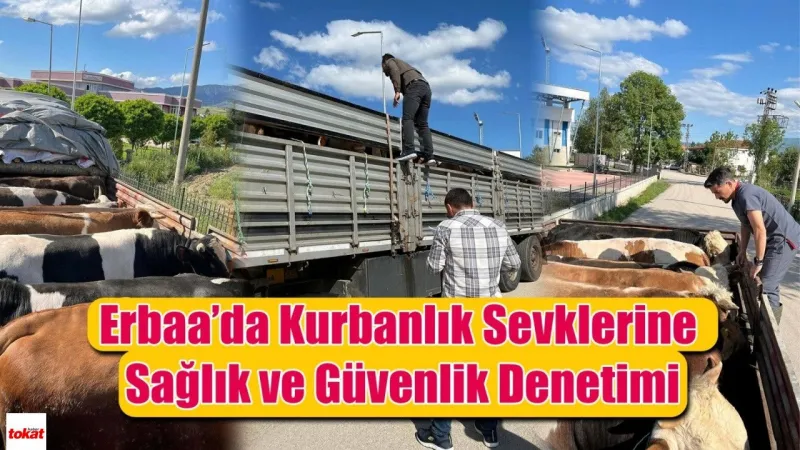 Erbaa'dan Kurbanlık Sevkıyatı: Türkiye'ye Güvenli Gönderi!