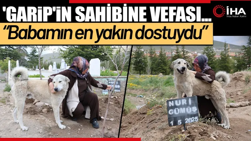 Garip'ten Duygulandıran Vefa: Sahibinin Mezarı Başında Nöbette!