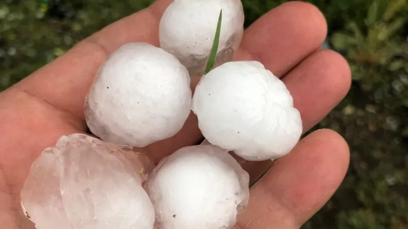 Niksar'da Ceviz Büyüklüğünde Dolu! Vatandaş Şaşkın, Araçlar Pert!
