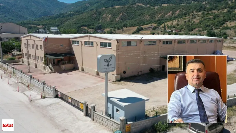 Reşadiye'den Devrim: Samandan Selüloz Üretimi Başlıyor!