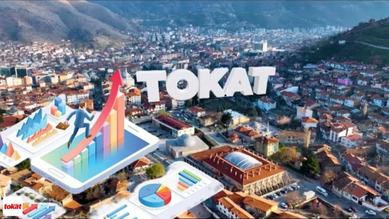 Tokat Yalnızlaşıyor Mu? Tek Kişilik Hane Sayısı Şaşırtıyor!