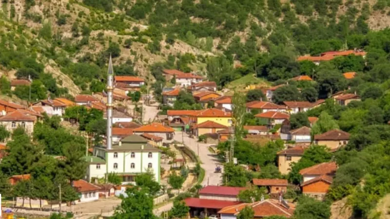 Tokat Bakışlı Köyü: Yatırımcıların Yeni Gözdesi mi?