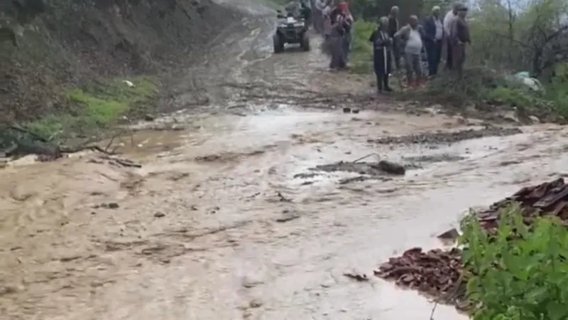 Tokat'ta Şiddetli Sel: 25 Koyun Telef Oldu, Çoban Canını Zor Kurtardı!