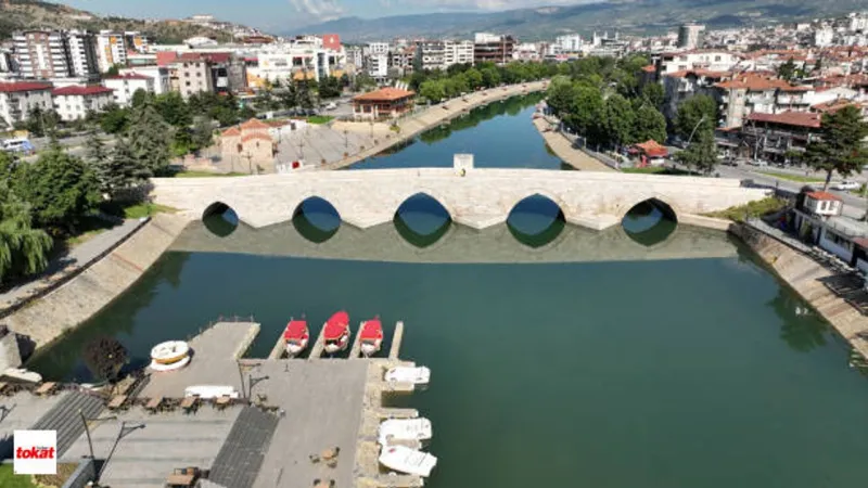 Tokat'ta Aileler Küçülüyor! Neden Yalnız Yaşam Artıyor?