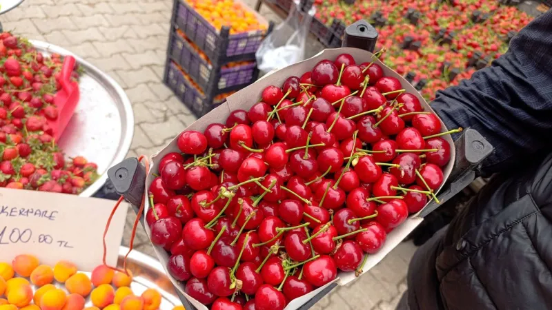 Tokat'ta Kiraz Şoku! Fiyatlar Altınla Yarışıyor, Yaz Gelmedi Mi?