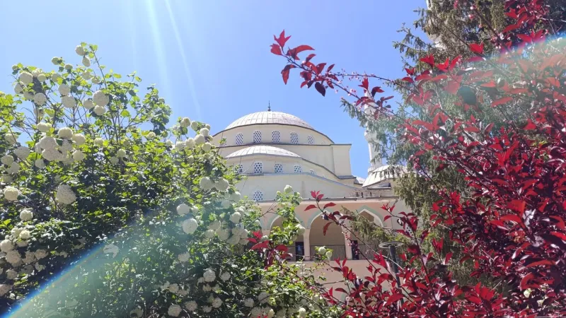 Van'da Tarihi Cami Yıkılıyor! Cemaat Gözyaşlarına Boğuldu