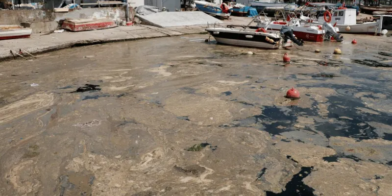 Müsilaj Alarmı! Marmara'da Yaz Kabusu Geri Mi Dönüyor?