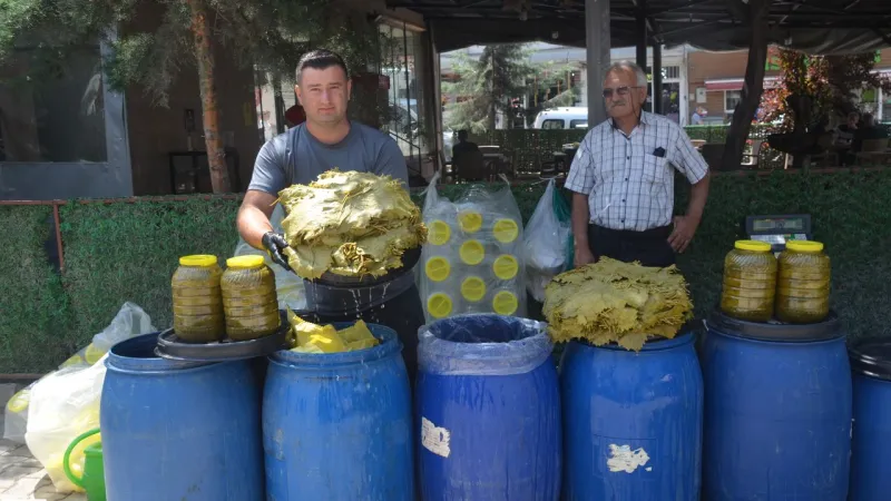 Niksar Yaprağı Bayram Sofralarını Süslüyor! Fiyatı Dudak Uçuklatıyor!