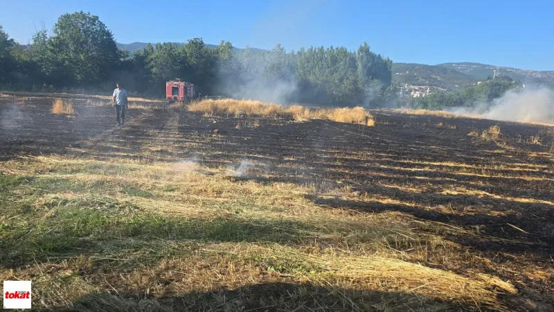 Niksar'da Yangın Tarlayı Sardı, 15 Dönüm Alan Kül Oldu