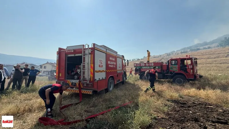 Niksar'da Orman Yangını Alarmı! Son Dakika Kontrol Altına Alındı