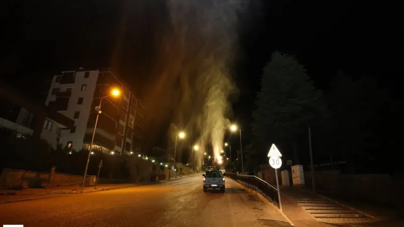Parklar, Dere Yatakları, Bahçeler: Tokat'ta Haşerele Gece Mesaisi