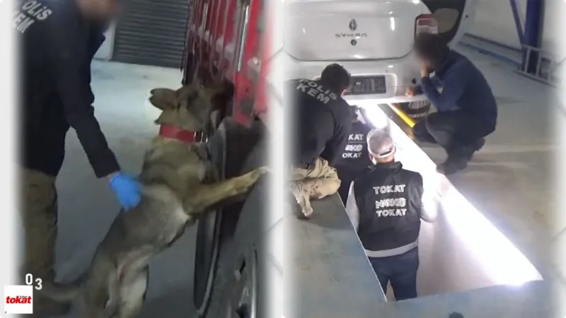 Sadık Dostun Burnu Affetmedi: Tokat’ta Uyuşturucu Operasyonu