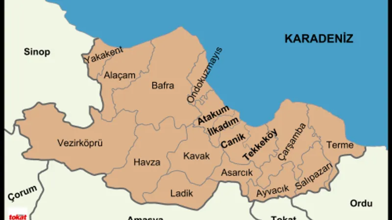 Samsun'un Bu İlçesi İl Olacak Haritalar Yeniden Çizilecek Tokat'a Yeni Komşu Geliyor Yeni Bir İl Doğuyor