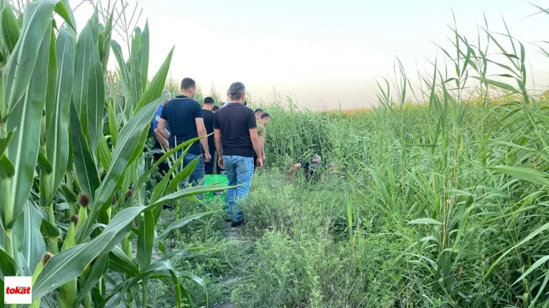 Sazlıklar Arasında Şüpheli Ölüm: 35 Yaşındaki Adamın Cesedi Bulundu
