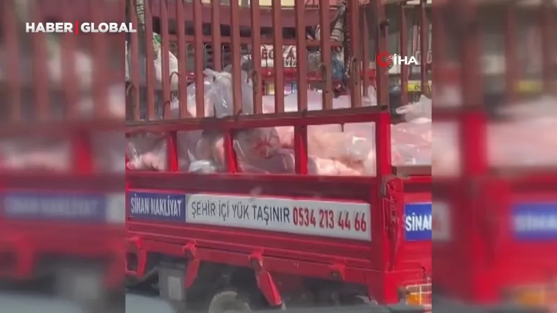 Siverek’te tepki çeken görüntü! Açık kasa kamyonetle et taşıdılar