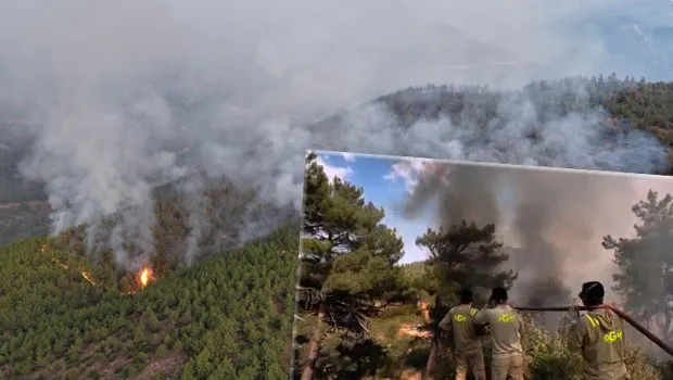Mersin ve Hatay Yanıyor! Orman Yangınında Son Durum Ne?