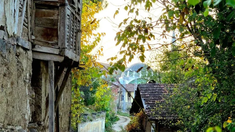 Tokat'ın Saklı Cenneti: Sorhun Köyü'nde Sonbahar Büyüsü!