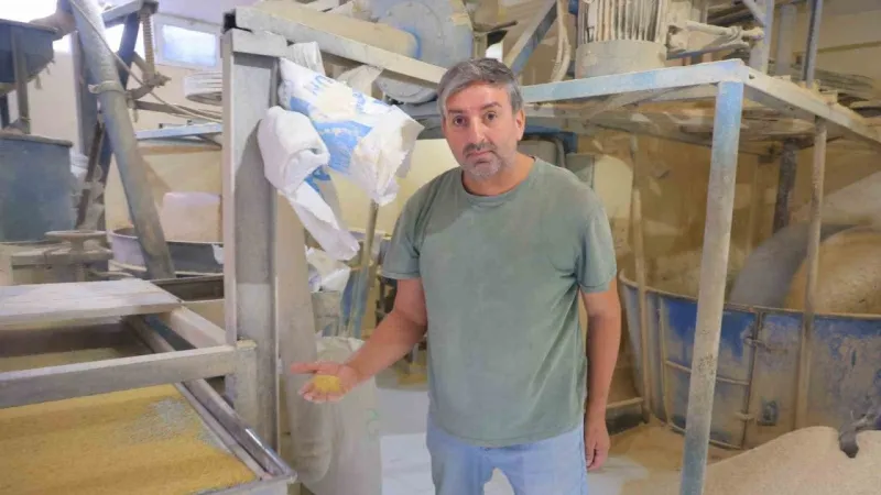 Taş Değirmenler Zamana Meydan Okuyor! Doğal Lezzet Peşinde Misiniz?