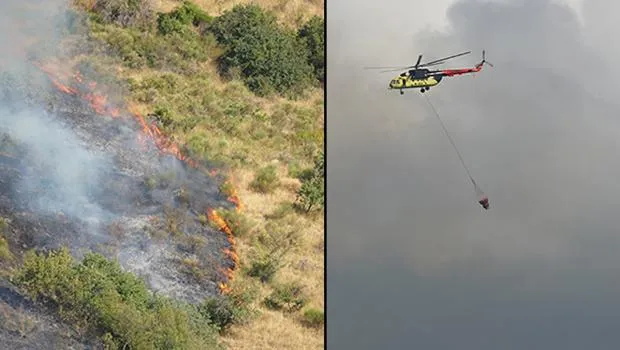 Tekirdağ'da makilik alanda yangın! Müdahale ediliyor