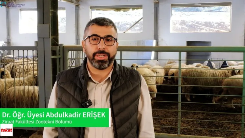 TOGÜ'den Uygulamalı Eğitim Hamlesi! Çiftlik Koyunculuk Tesisi Fark Yaratıyor