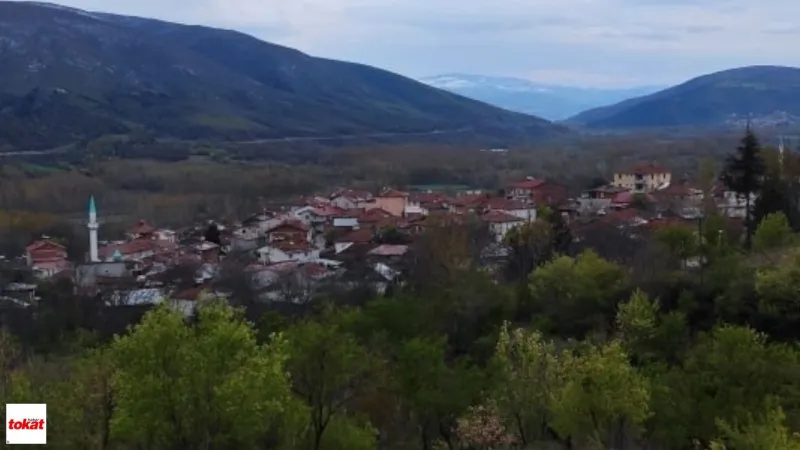 Tokat'ta İcradan Yem Fabrikası Fırsatı! 9 Milyon TL'ye Tarla Dahil!