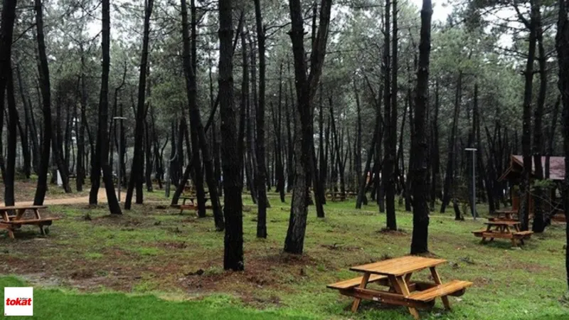 Tokat Pazar Karakaya Konaklamalı (Tesissiz) Orman Parkı Kiraya Verilecek