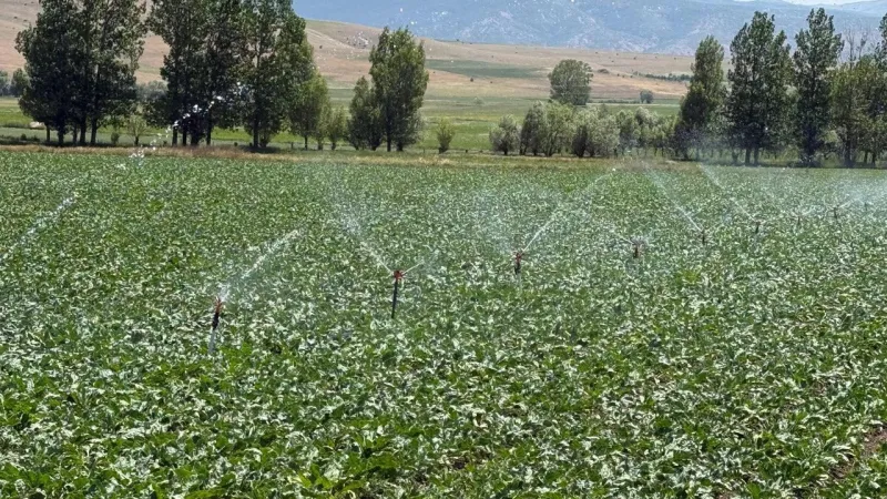 Tokat'ta Tarım Devrimi! 10 Köyün Kaderi Değişiyor