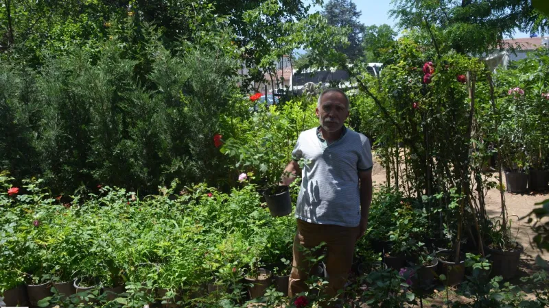 Tokat'ın Yeşil Kalbi: 40 Yıllık Fidan Aşkı!