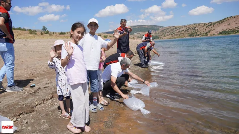 Tokat Göllerine Sazan Yağmuru! Balık Popülasyonu Artıyor!