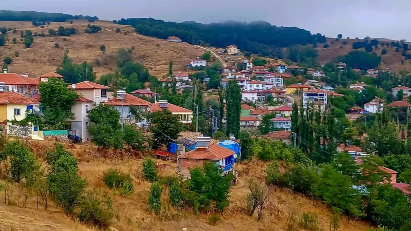 Tokat'ın Köyleri Altın Gibi Parlayacak Ankara'dan İstanbul'dan Çıkan Yurt Tutacak Buralar Dolacak Teşviklerde Verilecek