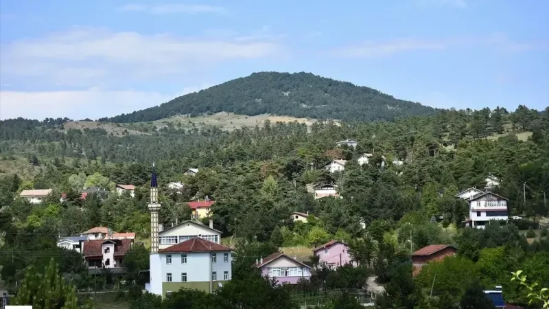 Tokat'ın Küçük Norveç'i 13. İlçesi Olacak Bir İlçe İkiye Bölünecek Yepyeni Bir İlçe Çıkacak