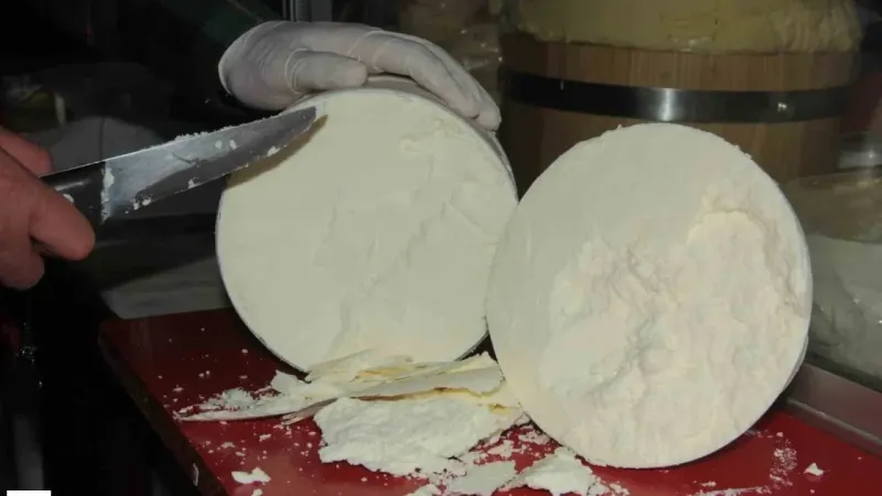 Tokat'ın Uzak Komşusunda Üretiliyor Türkiye'nin En Lezzetli Peyniri Olarak Biliniyor Birde Tescil Aldı Değeri Katlandı