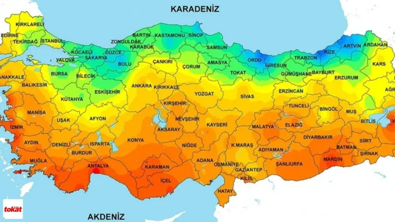Tokat'ta Sivrisinek Alarmı! Ölümcül Virüs Tehlikesi!