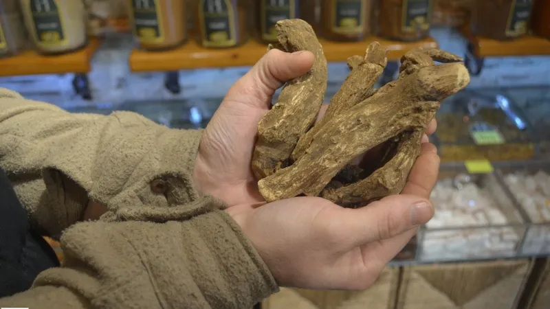 Tokat'ta 12 Yıllık Aktar Açıkladı Süper Besin Olarak Biliniyor Kış Hastalıklarına Kalkan Oluyor