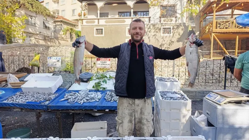 Tokat'ta Balık Fiyatları Şoke Etti! Levrek Altınla mı Yarışıyor?