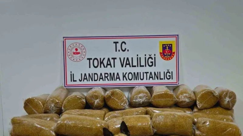 Tokat’ta 450 kilo kaçak tütün yakalandı
