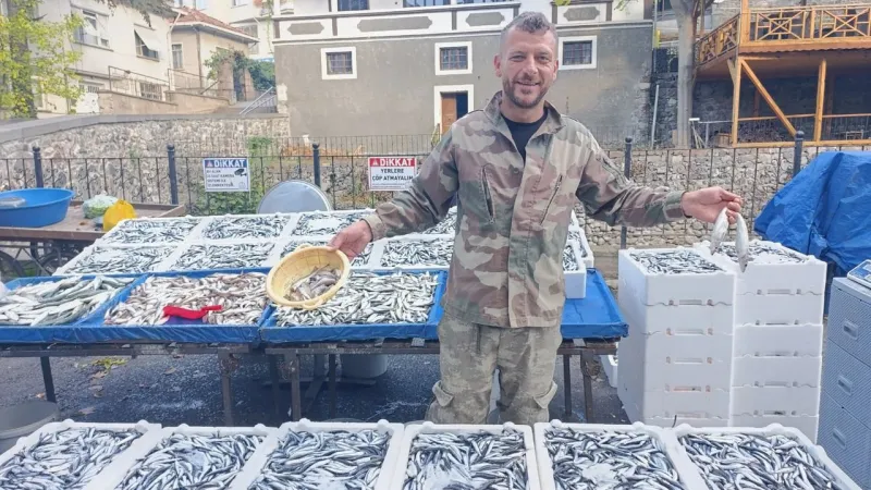 Tokat'ta Balık Bereketi! Hamsi Fiyatları Dip Yaptı, Tezgahlarda Şenlik Var!