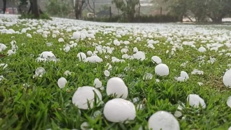 Tokat'ta Dolu Zararı Sahada İnceleniyor