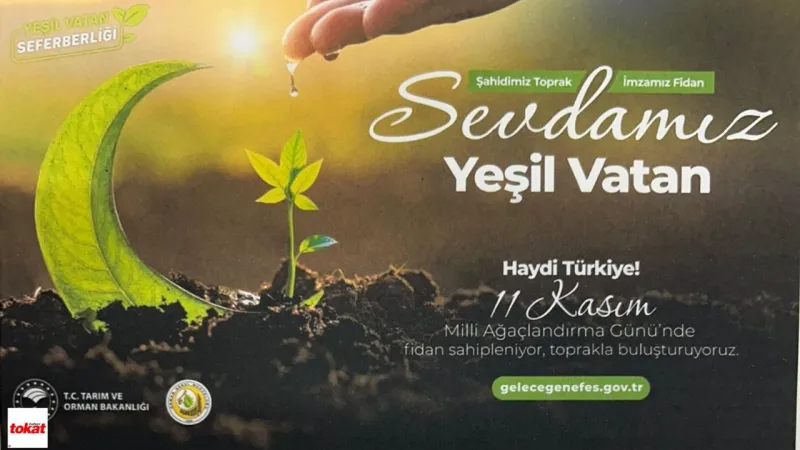 Tokat'ta Nefes Kesen Fidan Dikimi: Geleceğe Yatırım!