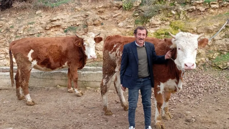 Tokat'ta Girişimciye İŞKUR Desteği! 348 Bin TL Hibe ile Besicilik Hayali Gerçek Oldu