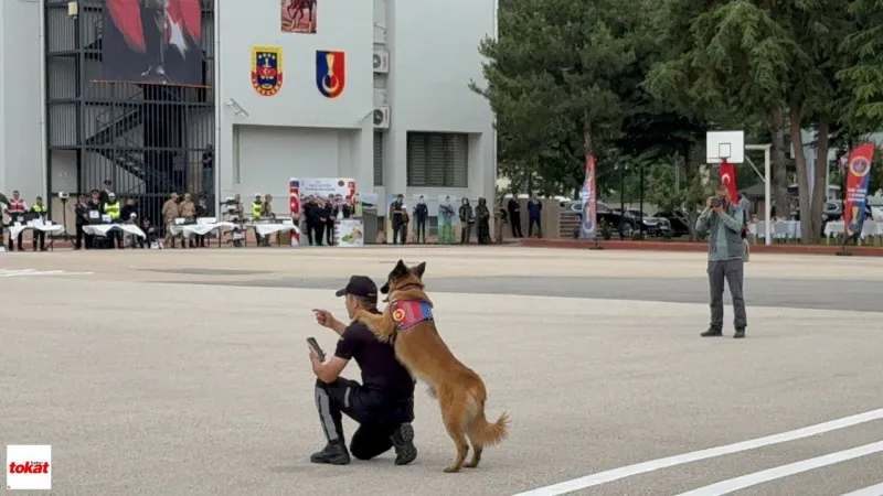 Tokat'ta Jandarma Köpekleri Sahneye Çıktı! Nefes Kesen Anlar