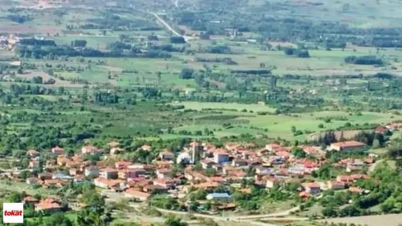 Tokat'ta Hazine Arazisi Kelepir Fiyatına! Kaçırılmayacak Fırsat!