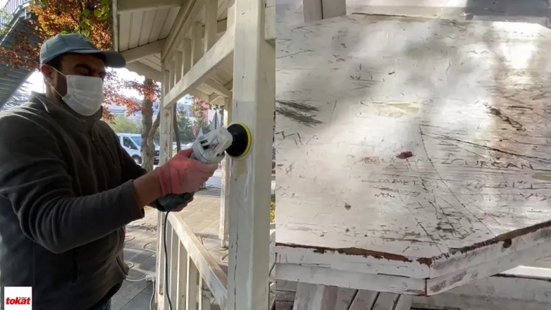 Tokat'ta Kamelyalara Saldırı! Vatandaş Cezalandırılmasını İstiyor