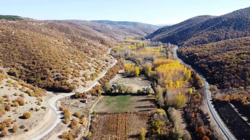 Tokat'ta Sonbahar Büyüsü: Ormanlar Sarıya Boyandı!