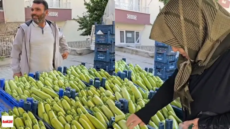 Tokat’ta Pazara Gidenler Gözlerine İnanamadı