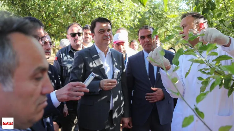 Tokat'ta Samuray Arıcıkları Kahverengi Kokarcaların Peşine Düştü