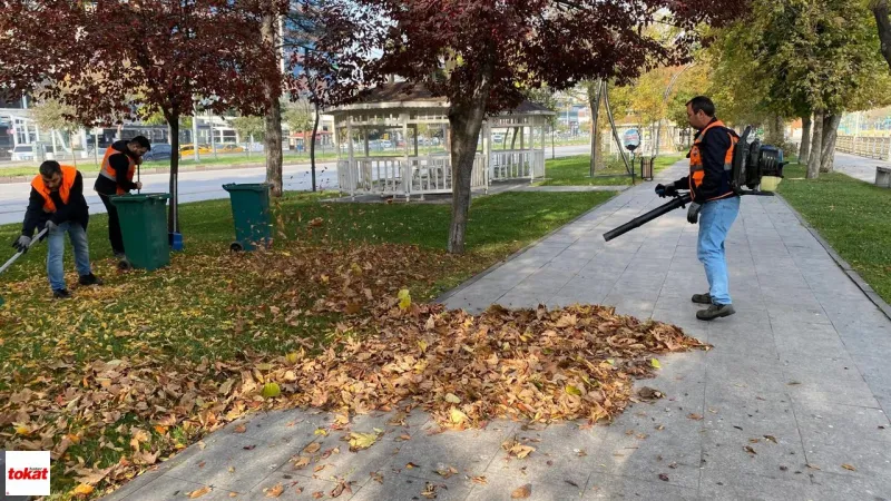 Tokat'ta Yaprak Seferberliği! Sonbahar Temizliği Başladı